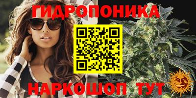 герыч Владикавказ