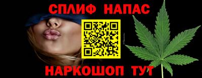 сатива Владимир