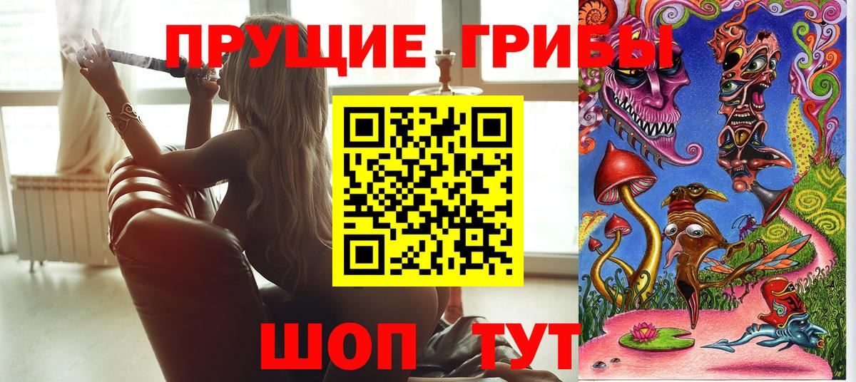 где продают   Псилоцибиновые грибы Magic Shrooms  Псилоцибиновые грибы прущие грибы  Вход с VPN  Будённовск 